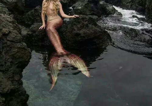 ee09fcae4ca197a2b1755ea5052e7c83