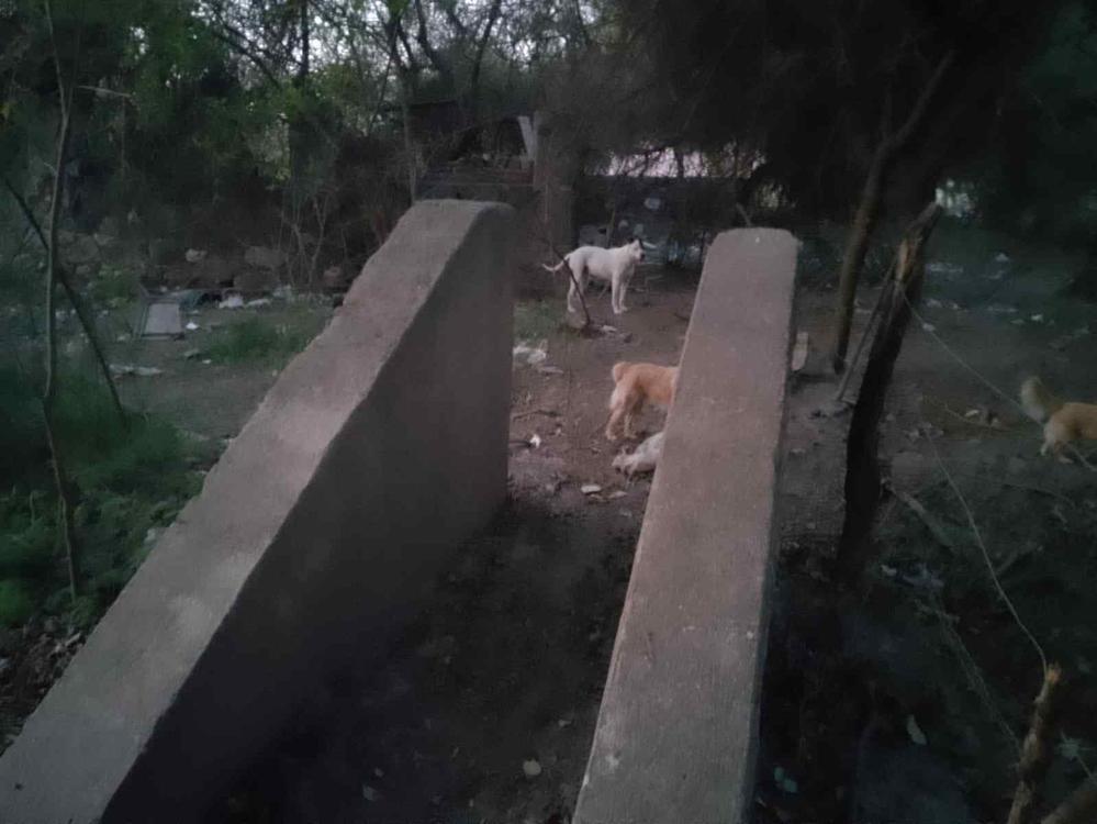 WhatsApp Image 2024-08-02 at 10-compressed (1)