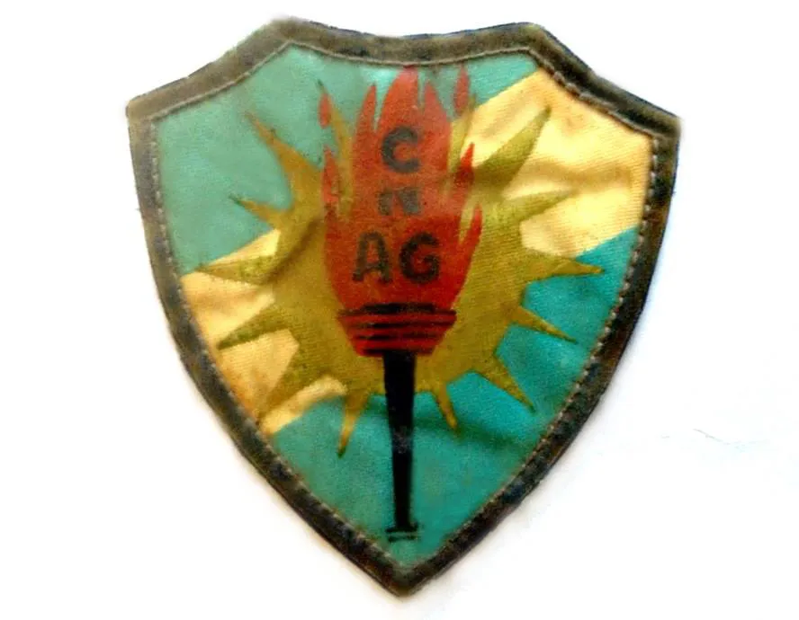 PLACA 2