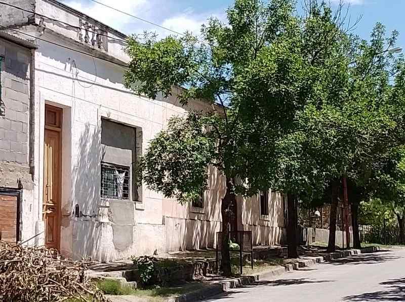 IMG_20230211_121059_308-compressed